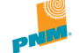 PNM Rebates 2017