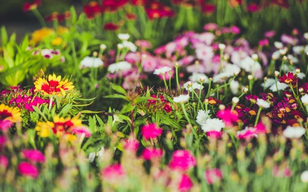 Spring Maintenance Special
