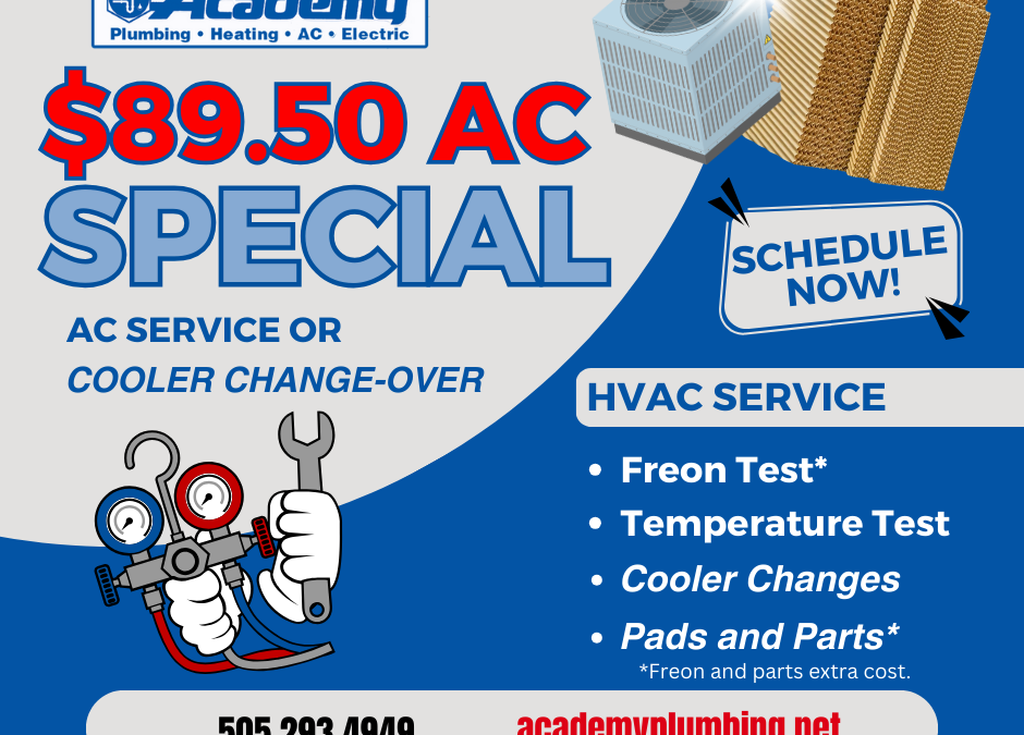 $89.50 Spring Special AC Change Over